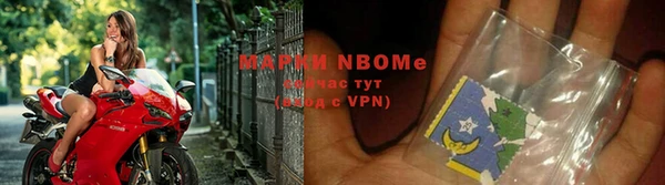 прущие грибы Вяземский