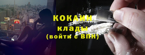 прущие грибы Вяземский