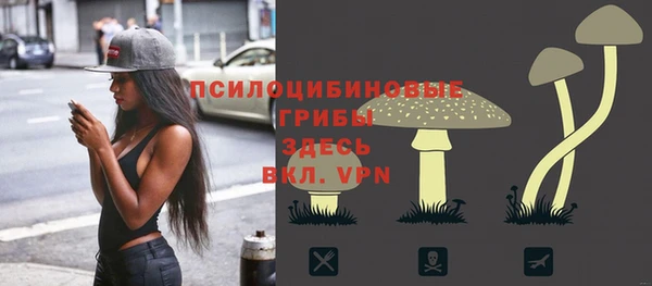 прущие грибы Вяземский