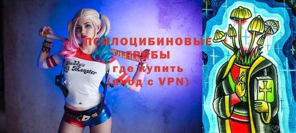 прущие грибы Вяземский