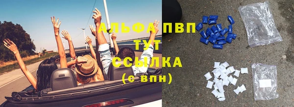 прущие грибы Вяземский