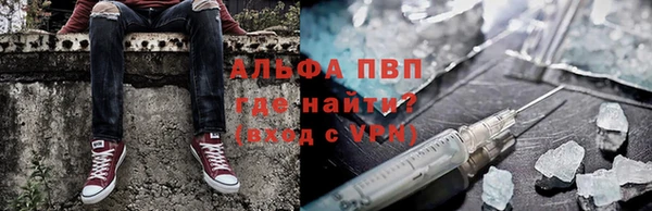 прущие грибы Вяземский