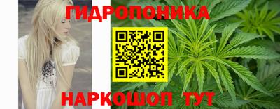 спиды Дубна