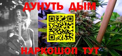 индика Гусь-Хрустальный