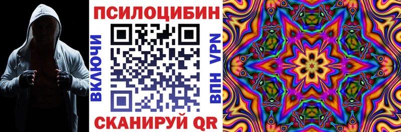 Галлюциногенные грибы Cubensis как найти закладки Ижевск