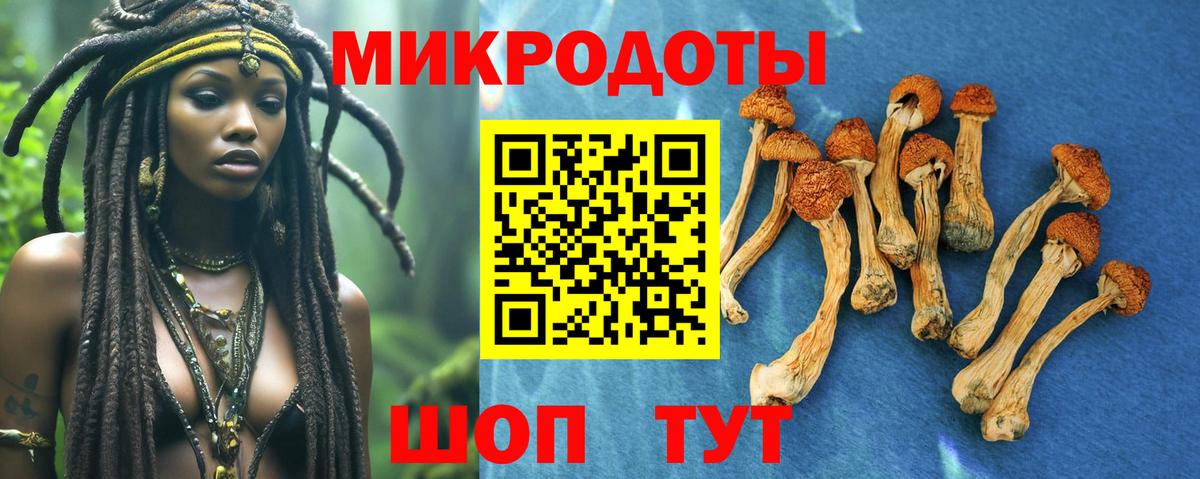 Псилоцибиновые грибы прущие грибы Ижевск