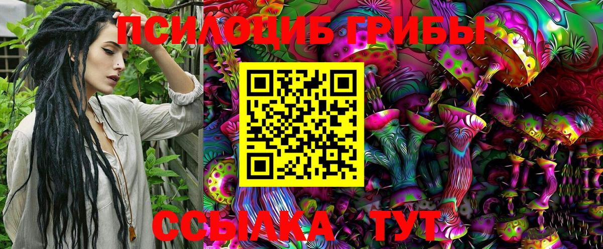 Псилоцибиновые грибы Cubensis  Вход с VPN  купить наркотик  Ижевск 
